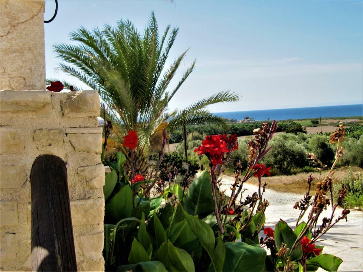Villa Dioni คอรัลเบย์ ภายนอก รูปภาพ